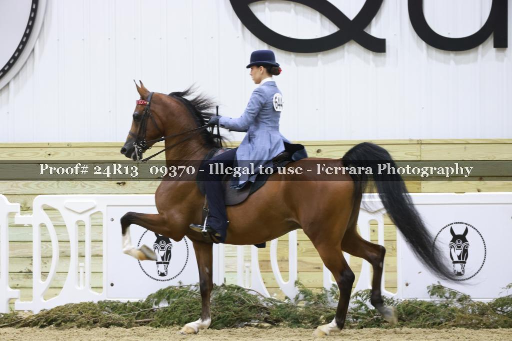 Proof Number 24R13_09370