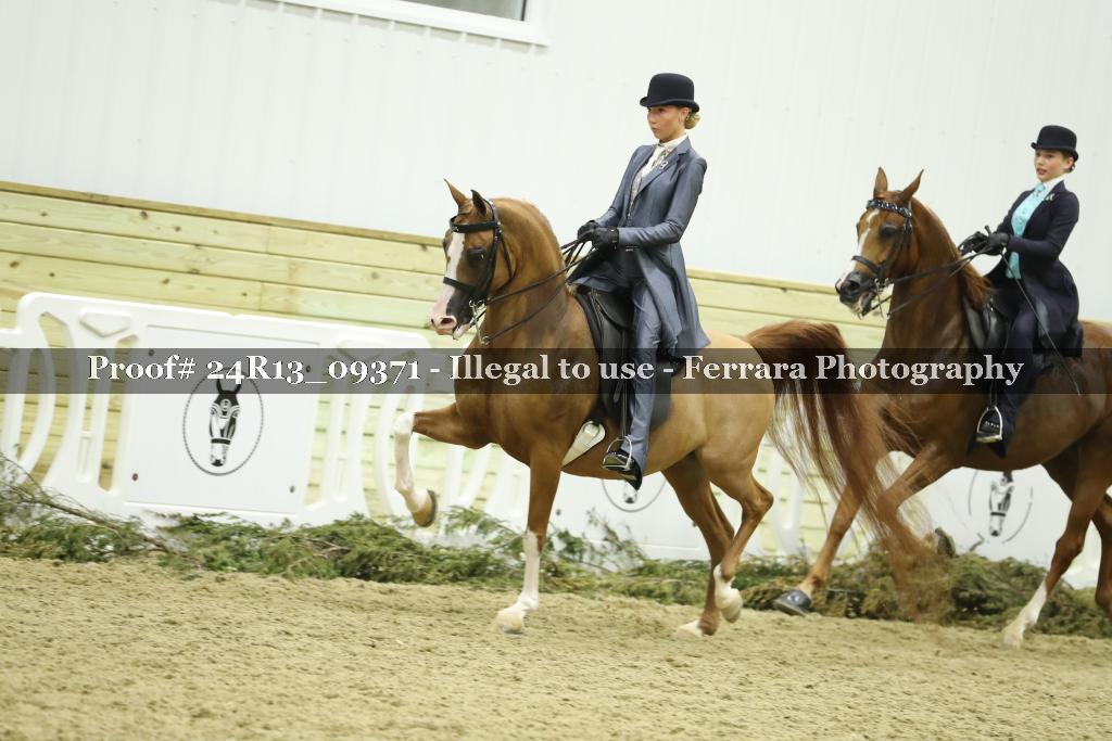 Proof Number 24R13_09371