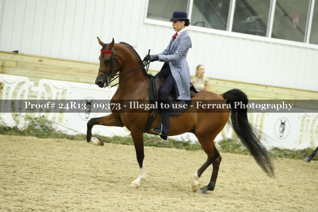 Proof Number 24R13_09373