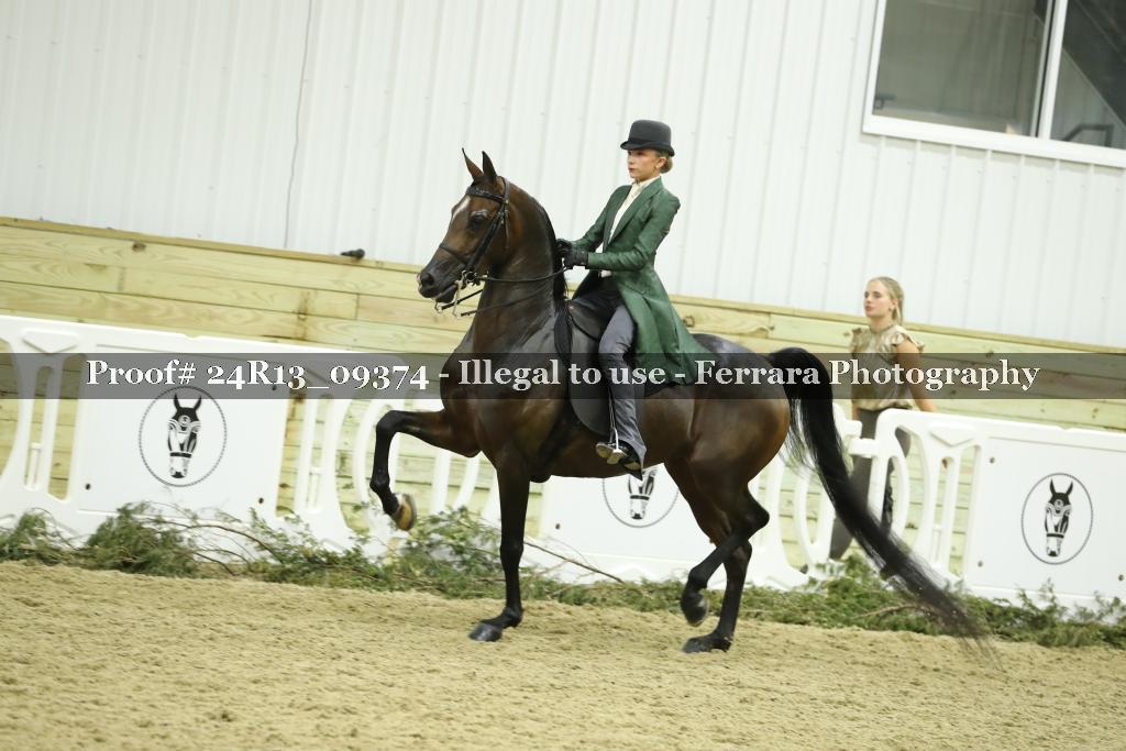 Proof Number 24R13_09374