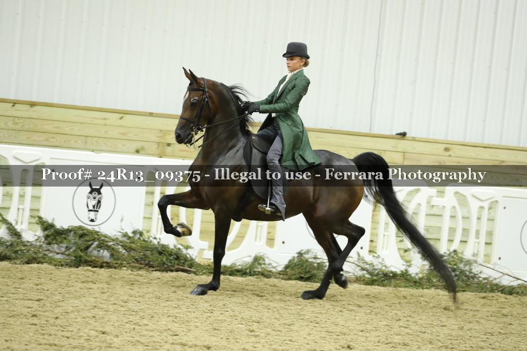 Proof Number 24R13_09375