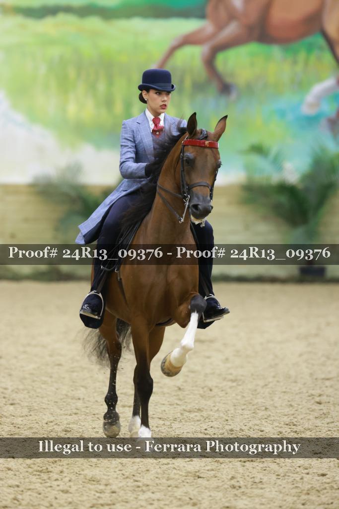 Proof Number 24R13_09376