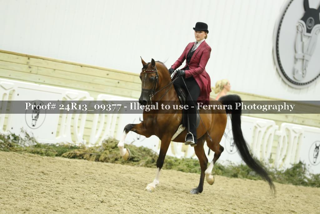 Proof Number 24R13_09377