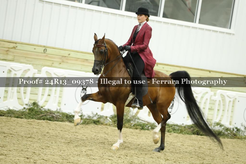 Proof Number 24R13_09378