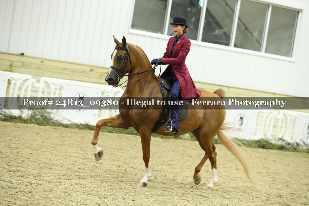 Proof Number 24R13_09380