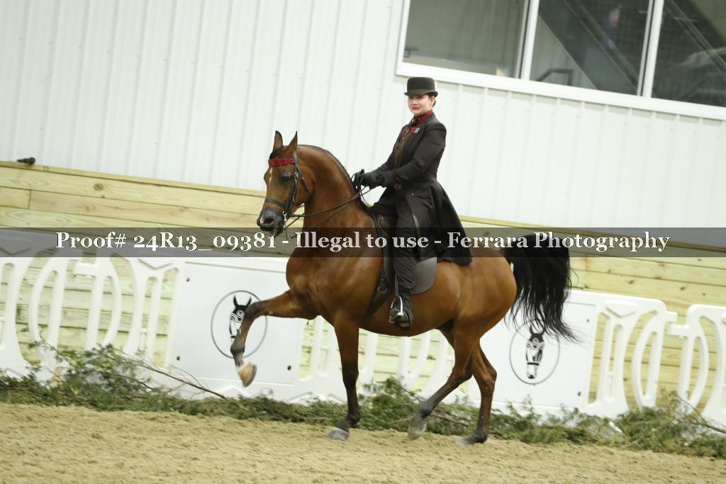 Proof Number 24R13_09381