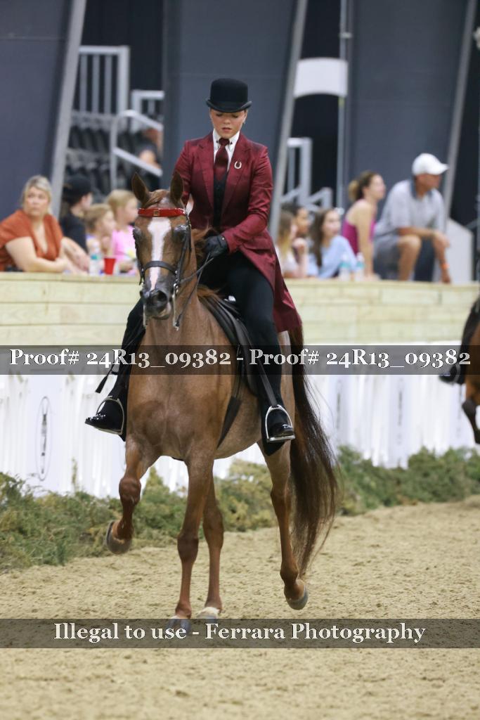 Proof Number 24R13_09382