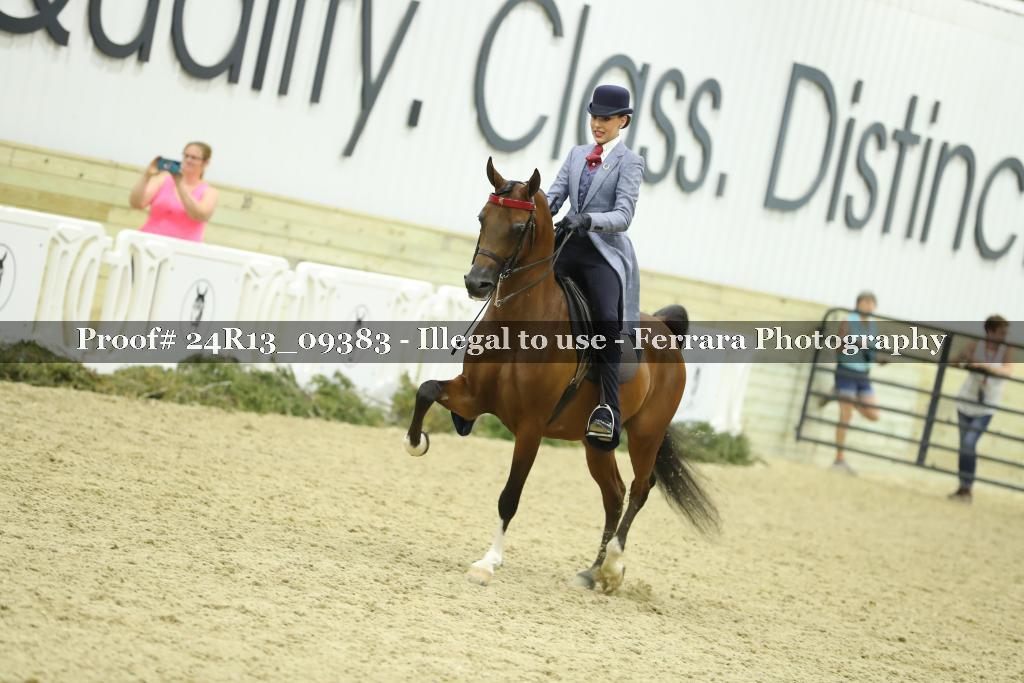 Proof Number 24R13_09383