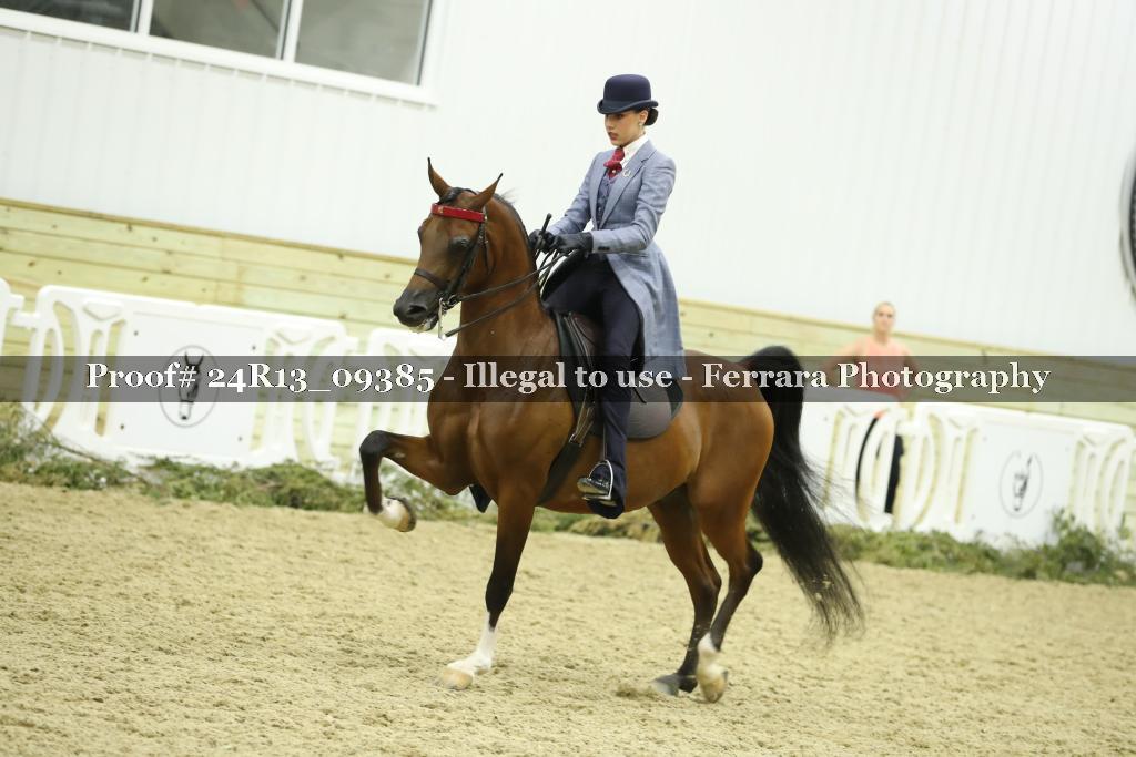 Proof Number 24R13_09385