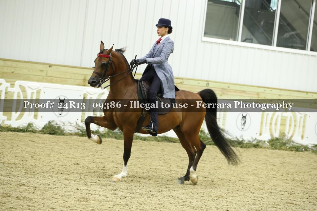 Proof Number 24R13_09386
