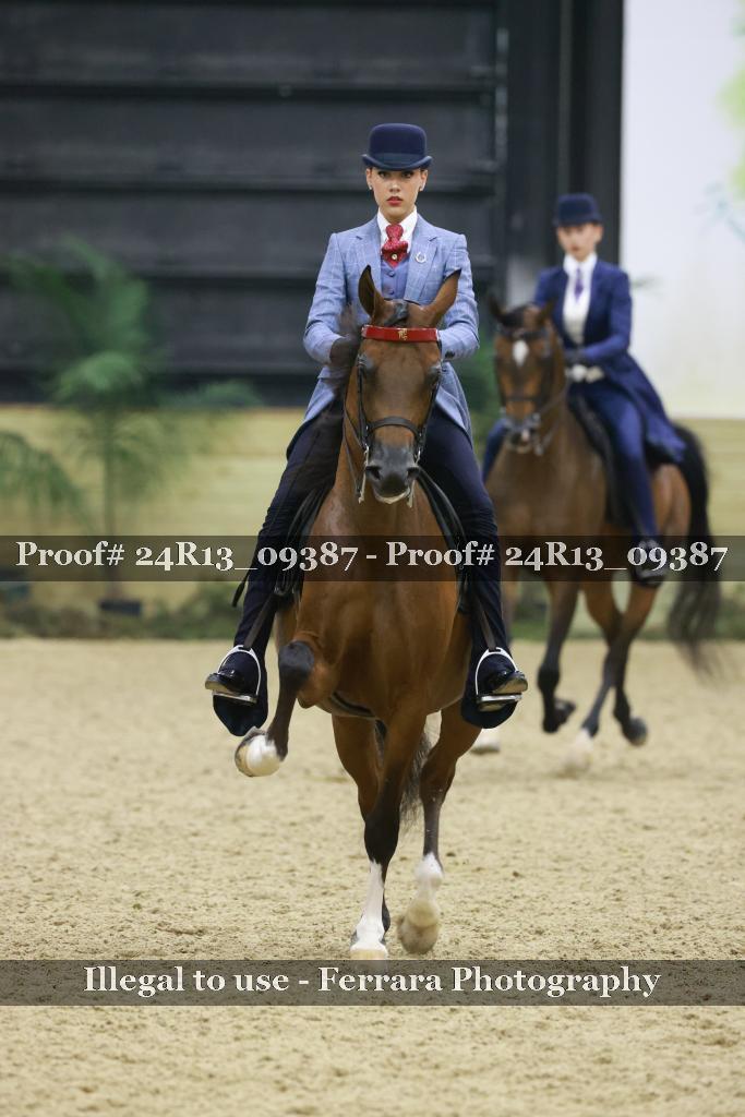 Proof Number 24R13_09387