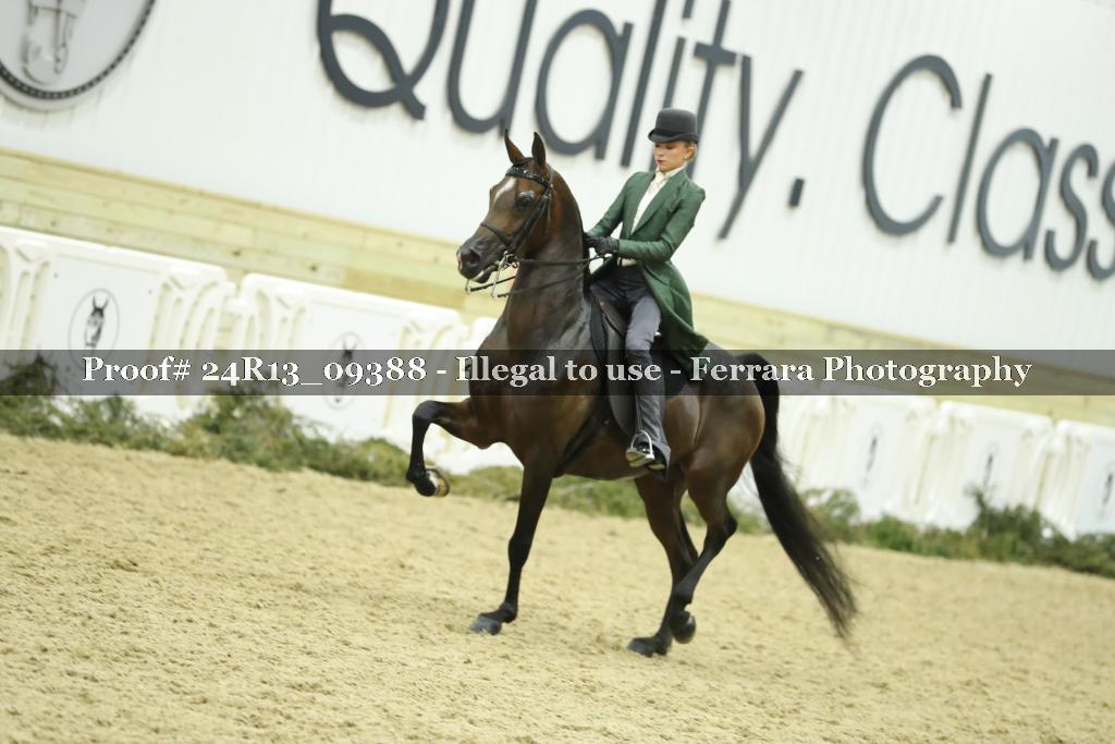 Proof Number 24R13_09388