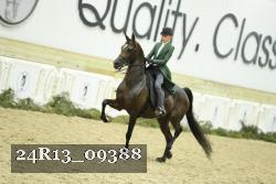 24R13_09388 thumbnail