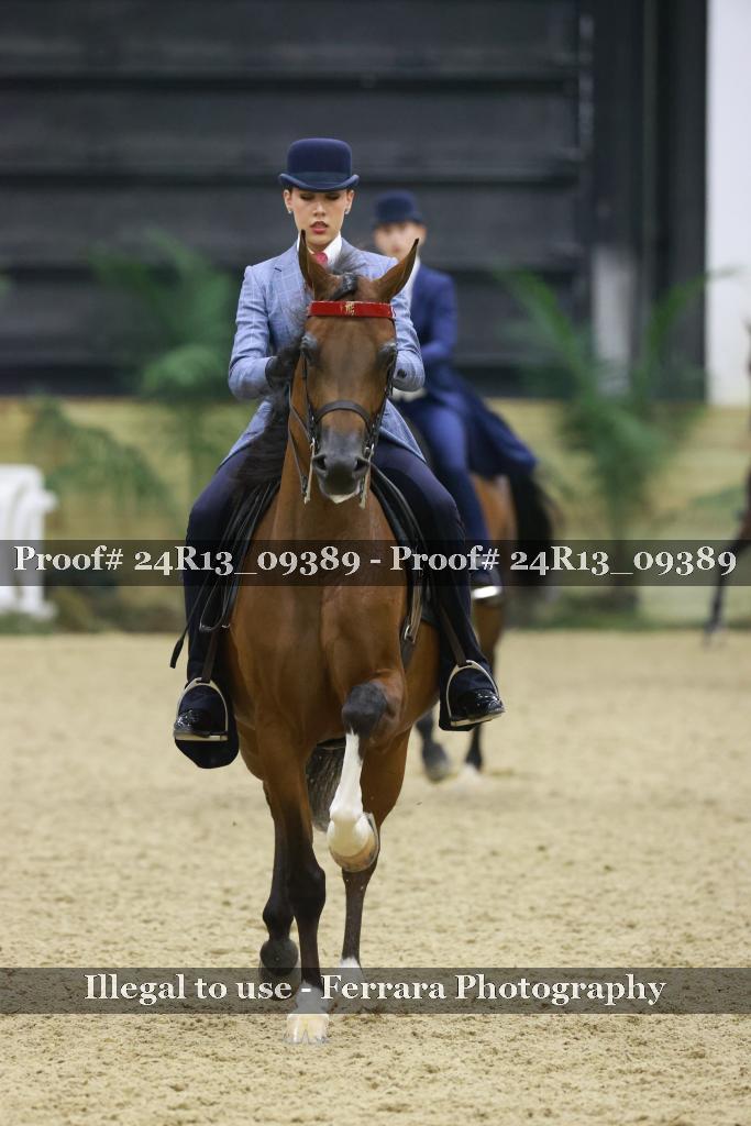 Proof Number 24R13_09389