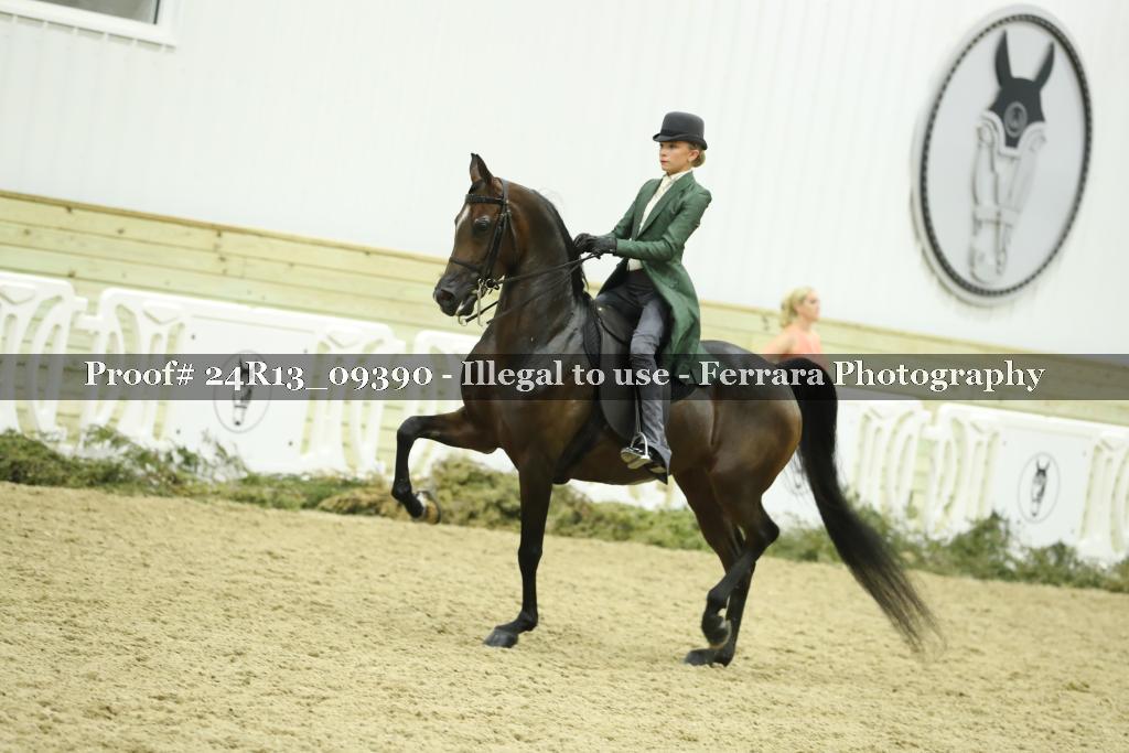 Proof Number 24R13_09390