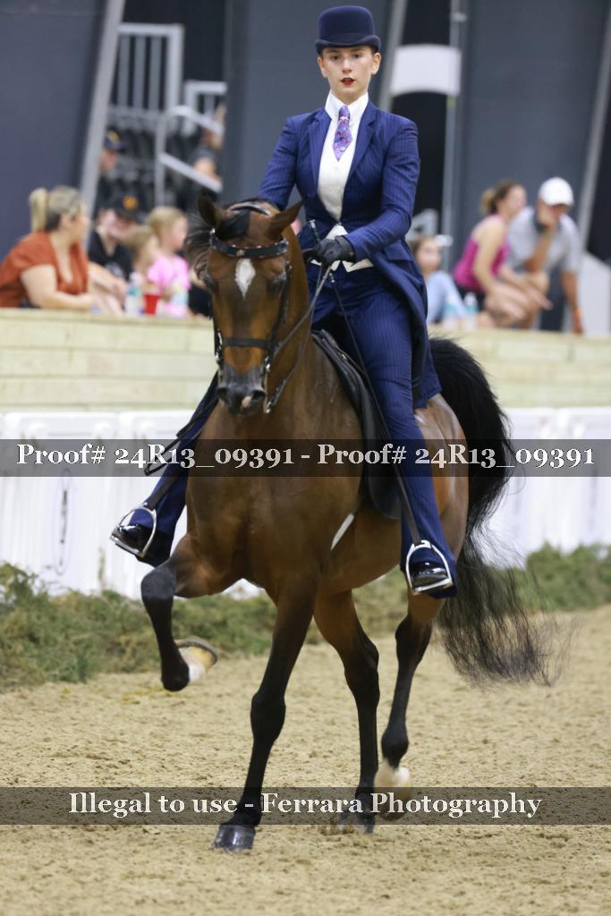 Proof Number 24R13_09391