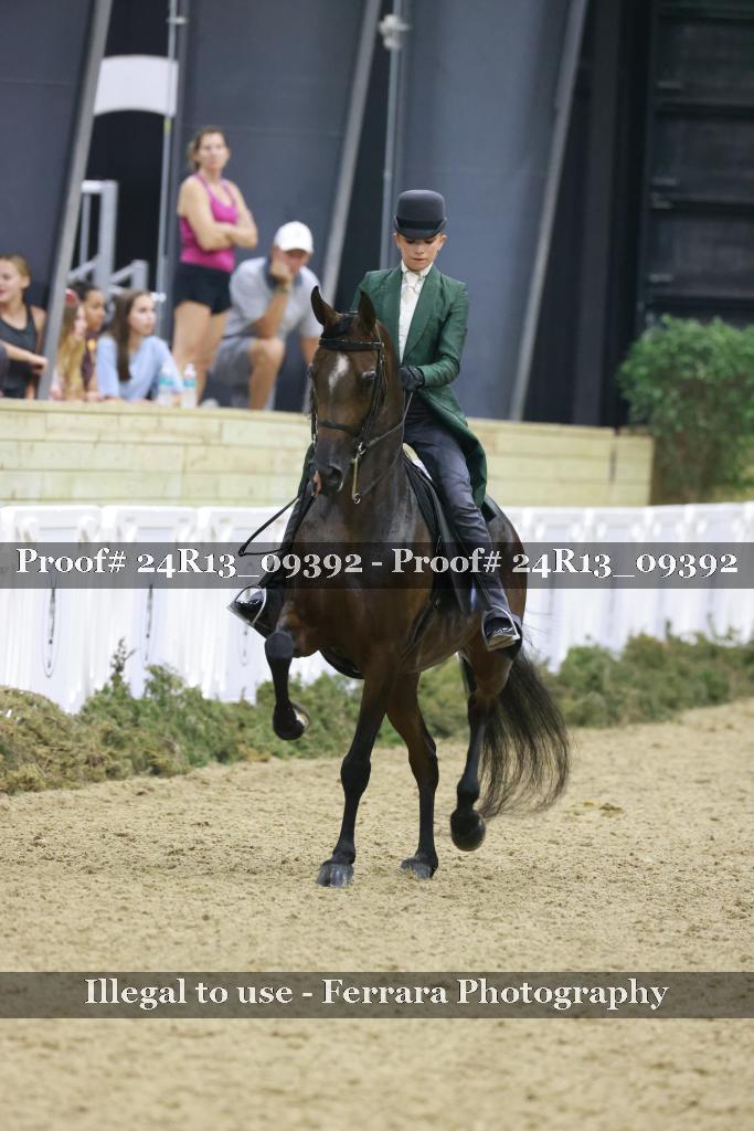 Proof Number 24R13_09392