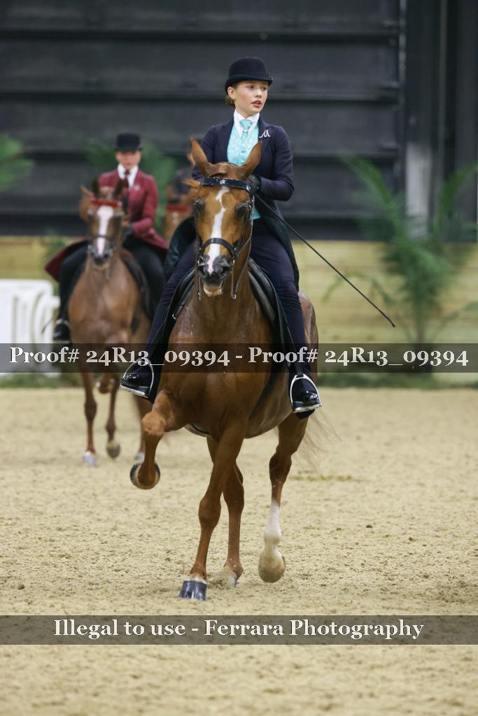 Proof Number 24R13_09394