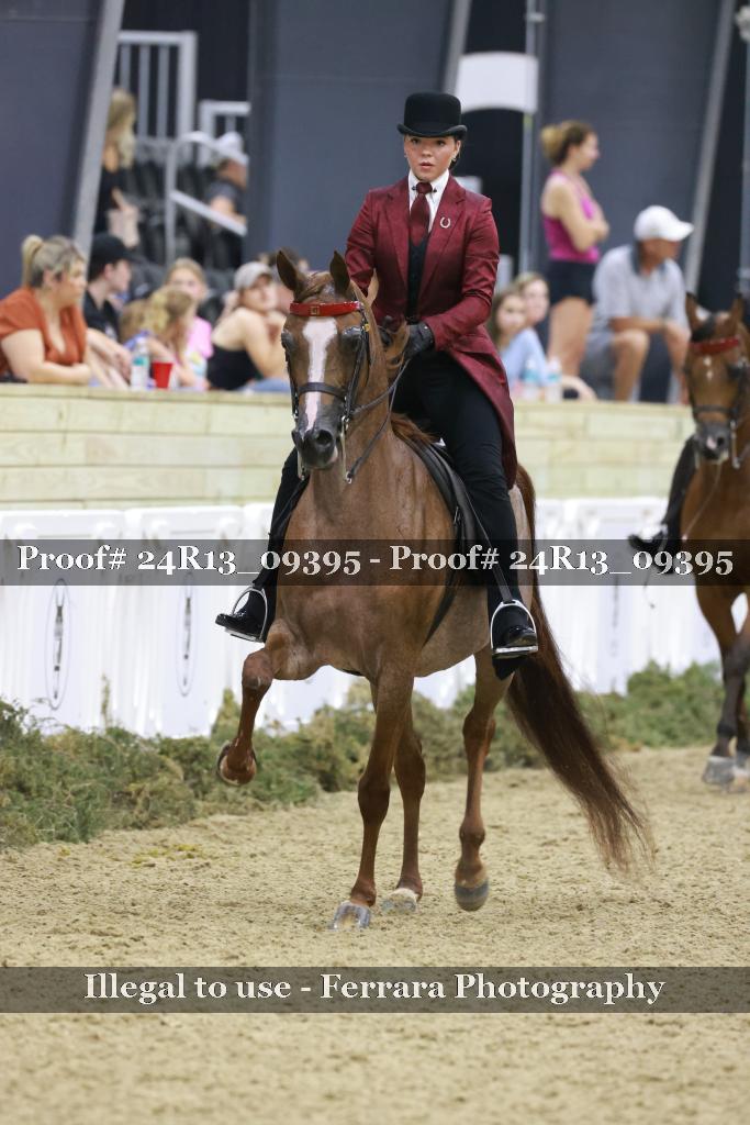 Proof Number 24R13_09395