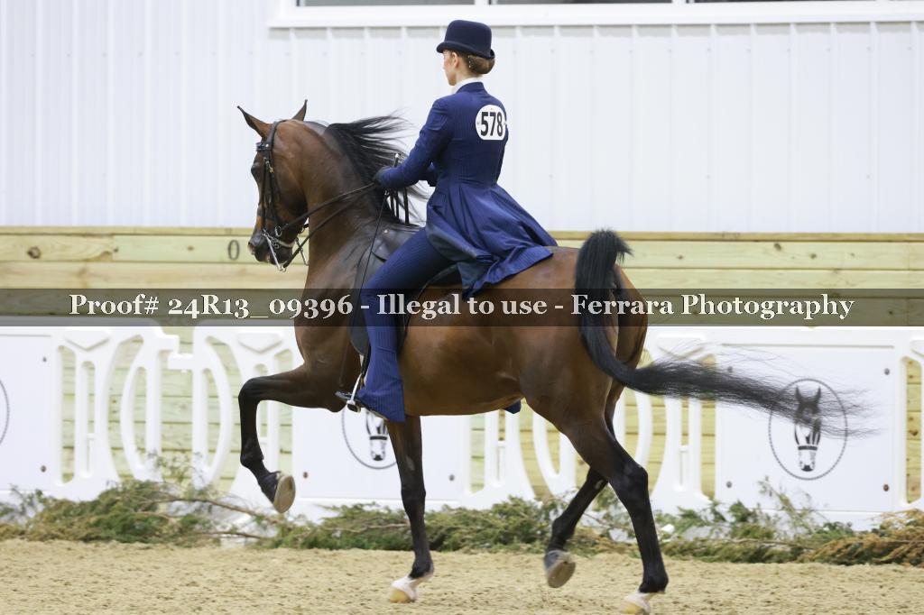 Proof Number 24R13_09396