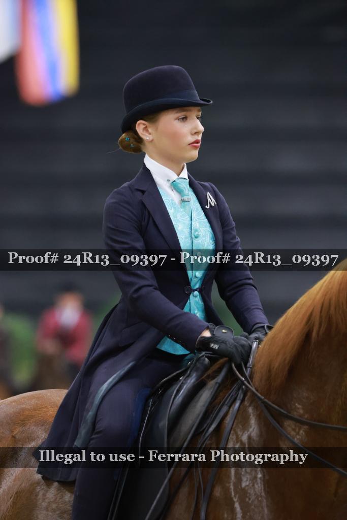 Proof Number 24R13_09397