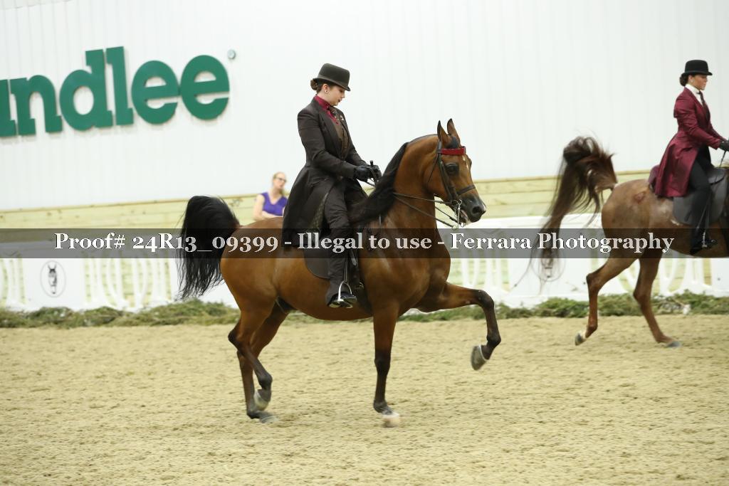 Proof Number 24R13_09399