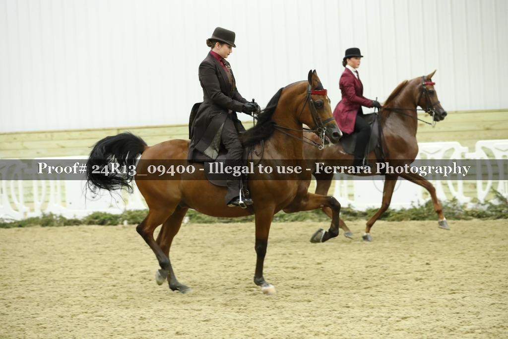 Proof Number 24R13_09400