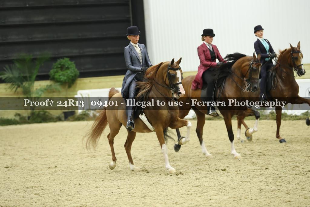 Proof Number 24R13_09401