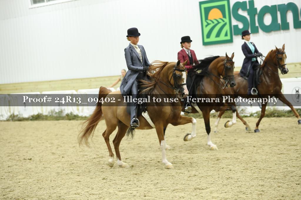 Proof Number 24R13_09402