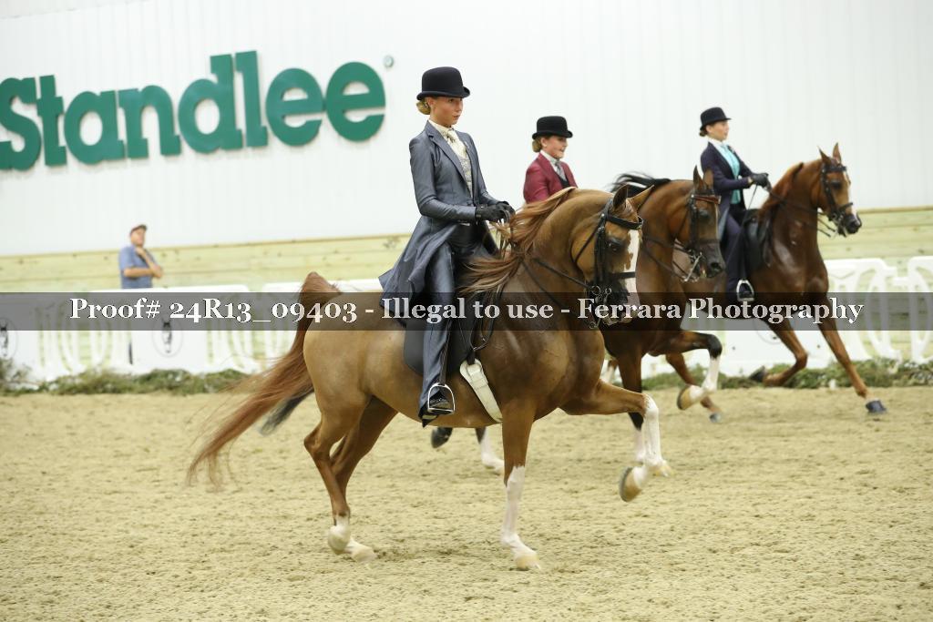 Proof Number 24R13_09403