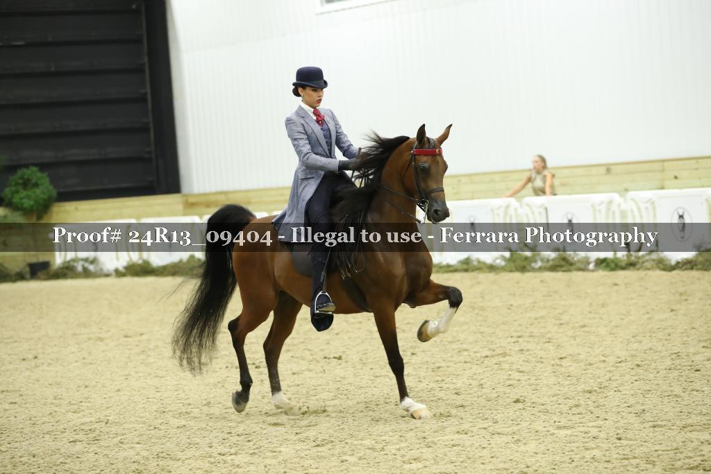 Proof Number 24R13_09404