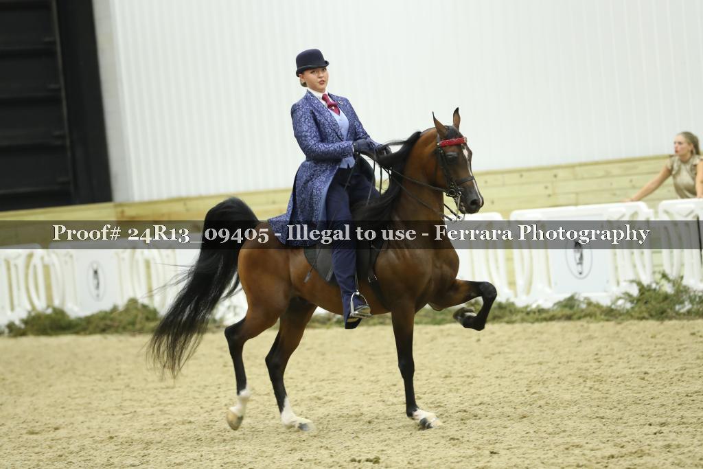 Proof Number 24R13_09405