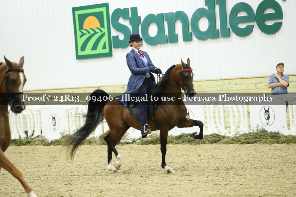 Proof Number 24R13_09406
