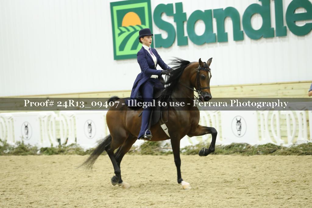 Proof Number 24R13_09407
