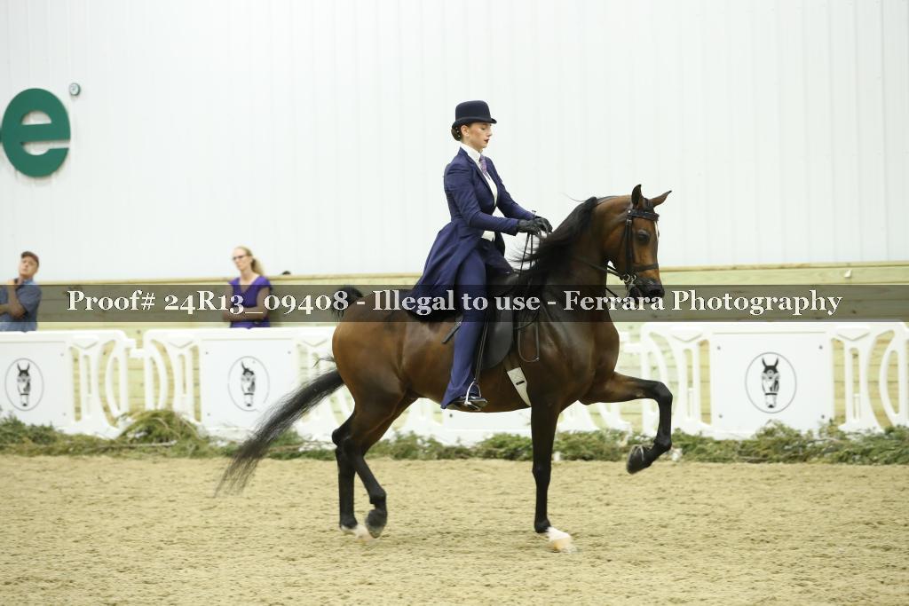 Proof Number 24R13_09408