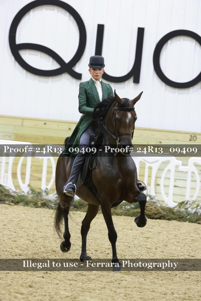Proof Number 24R13_09409