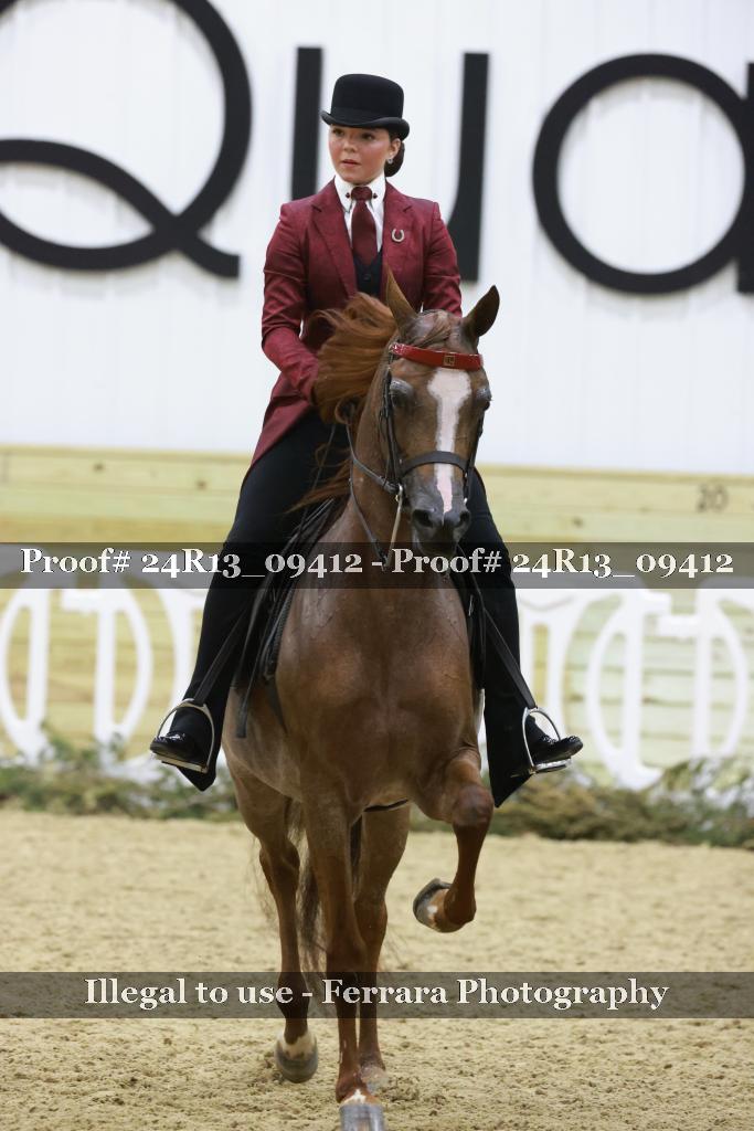 Proof Number 24R13_09412