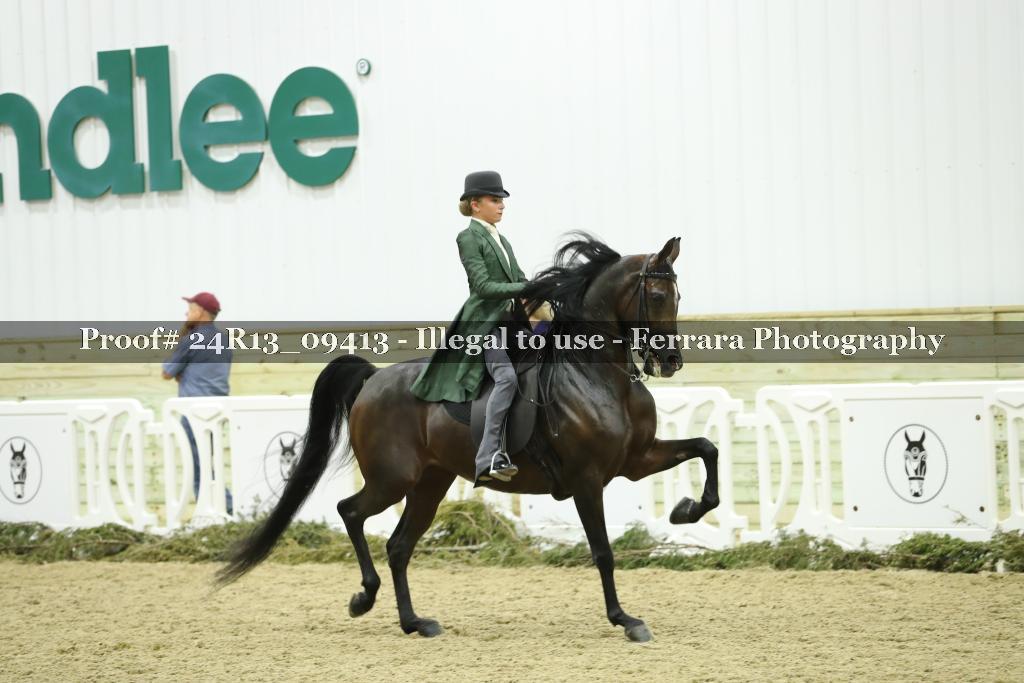 Proof Number 24R13_09413