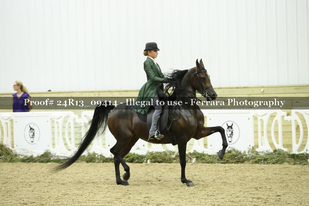 Proof Number 24R13_09414