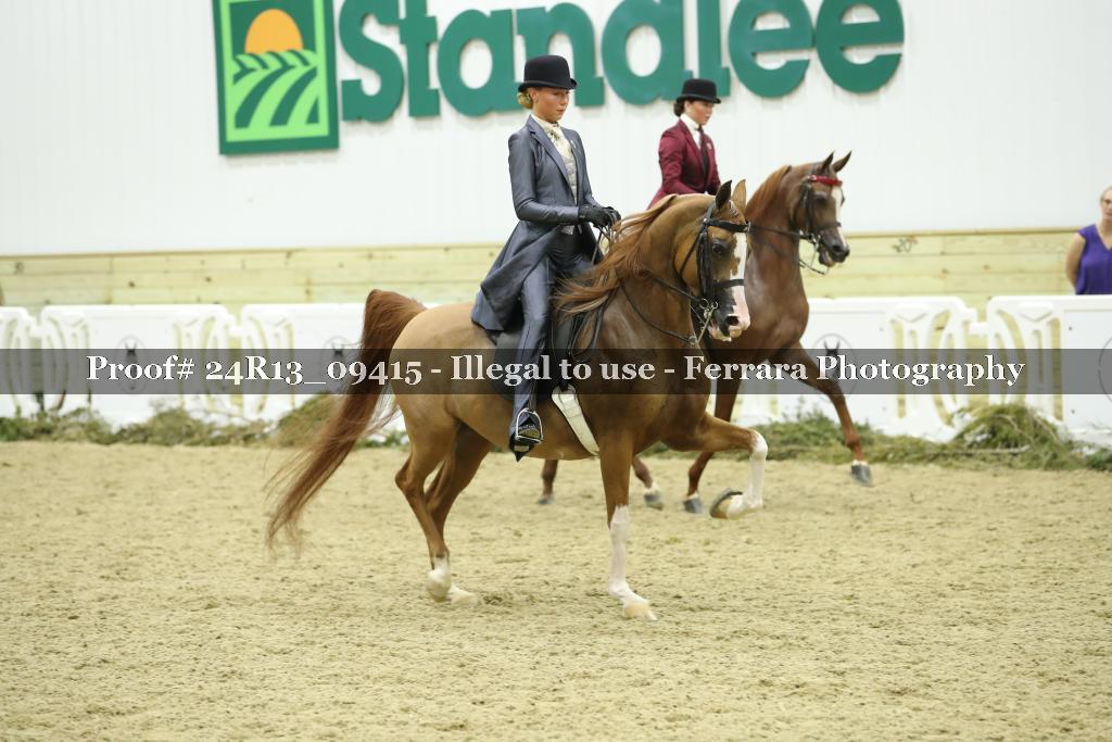 Proof Number 24R13_09415
