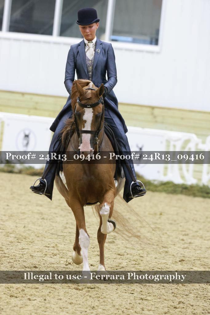 Proof Number 24R13_09416