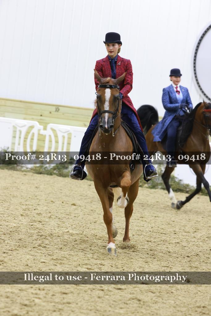 Proof Number 24R13_09418