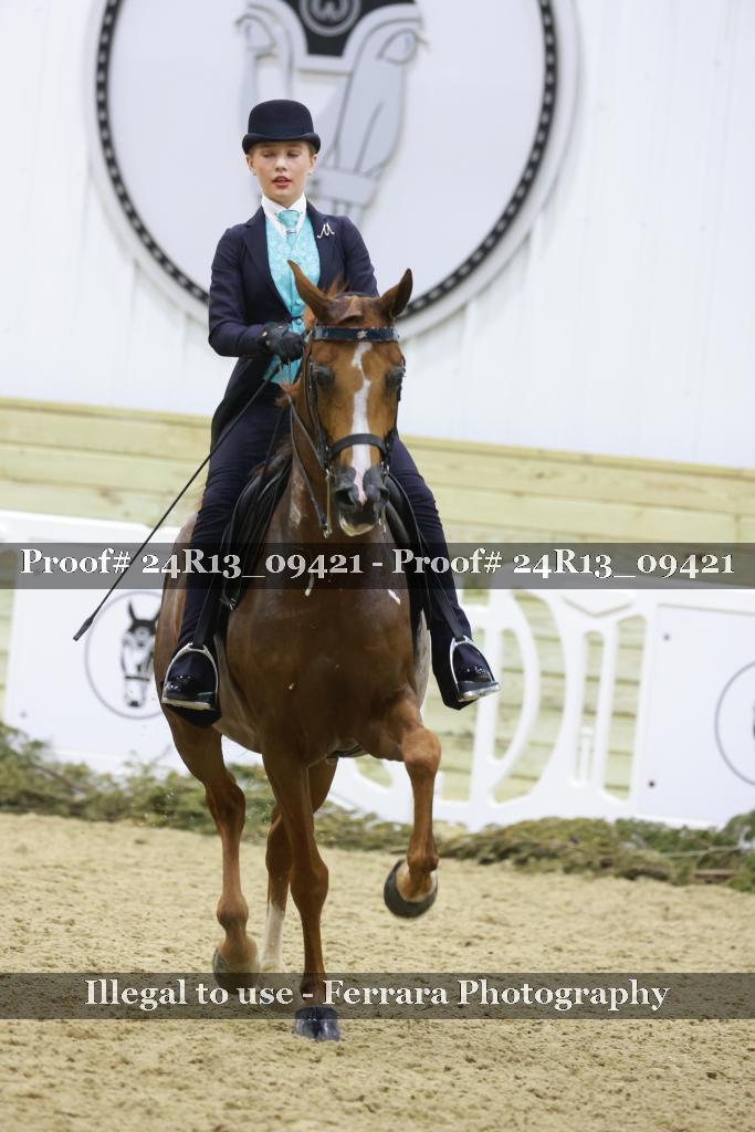 Proof Number 24R13_09421