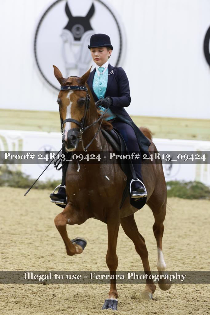 Proof Number 24R13_09424