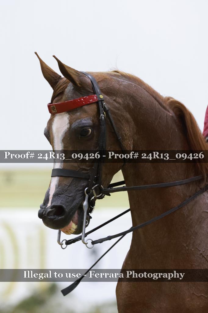 Proof Number 24R13_09426