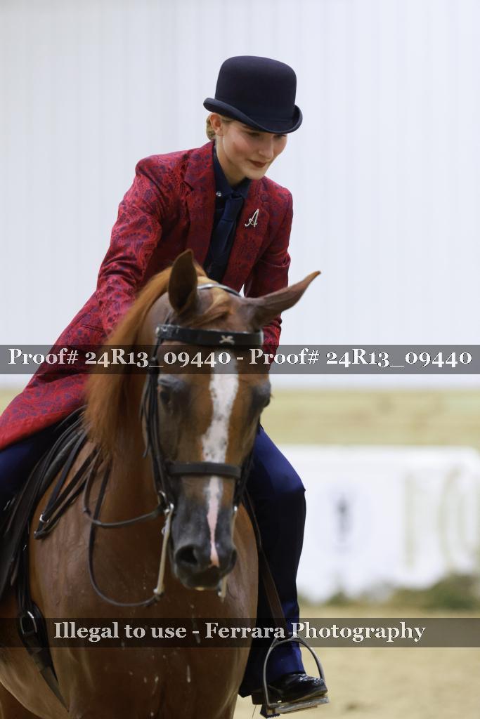 Proof Number 24R13_09440