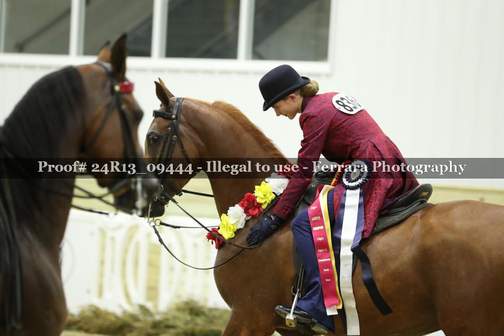 Proof Number 24R13_09444