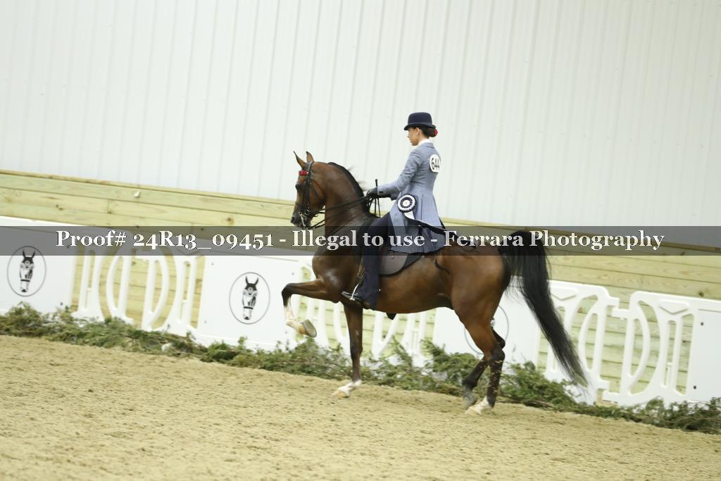 Proof Number 24R13_09451