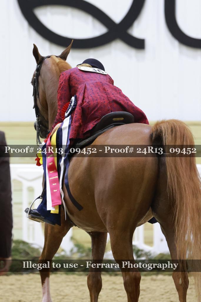 Proof Number 24R13_09452