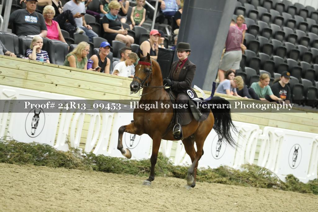 Proof Number 24R13_09453